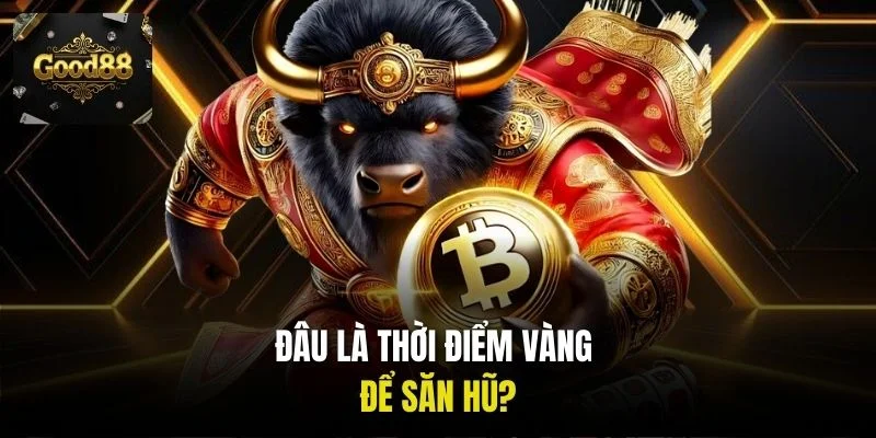 Đâu là thời điểm vàng để săn hũ?