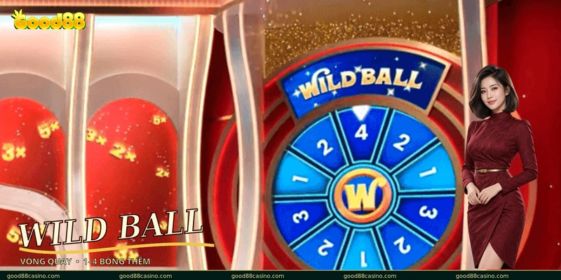 Bánh xe Wild Ball hiển thị các bóng bổ sung trong The Bingo Spot.